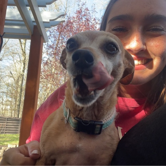 Meet your Posher, Autumn - Picture 6 of 16